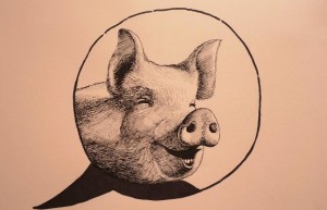 2007年出生的属猪的人2020年运程
