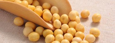 梦见黄豆是什么预兆 是健康与幸福的象征吗