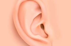 九种最富贵耳朵面相 什么样的耳朵面相最好